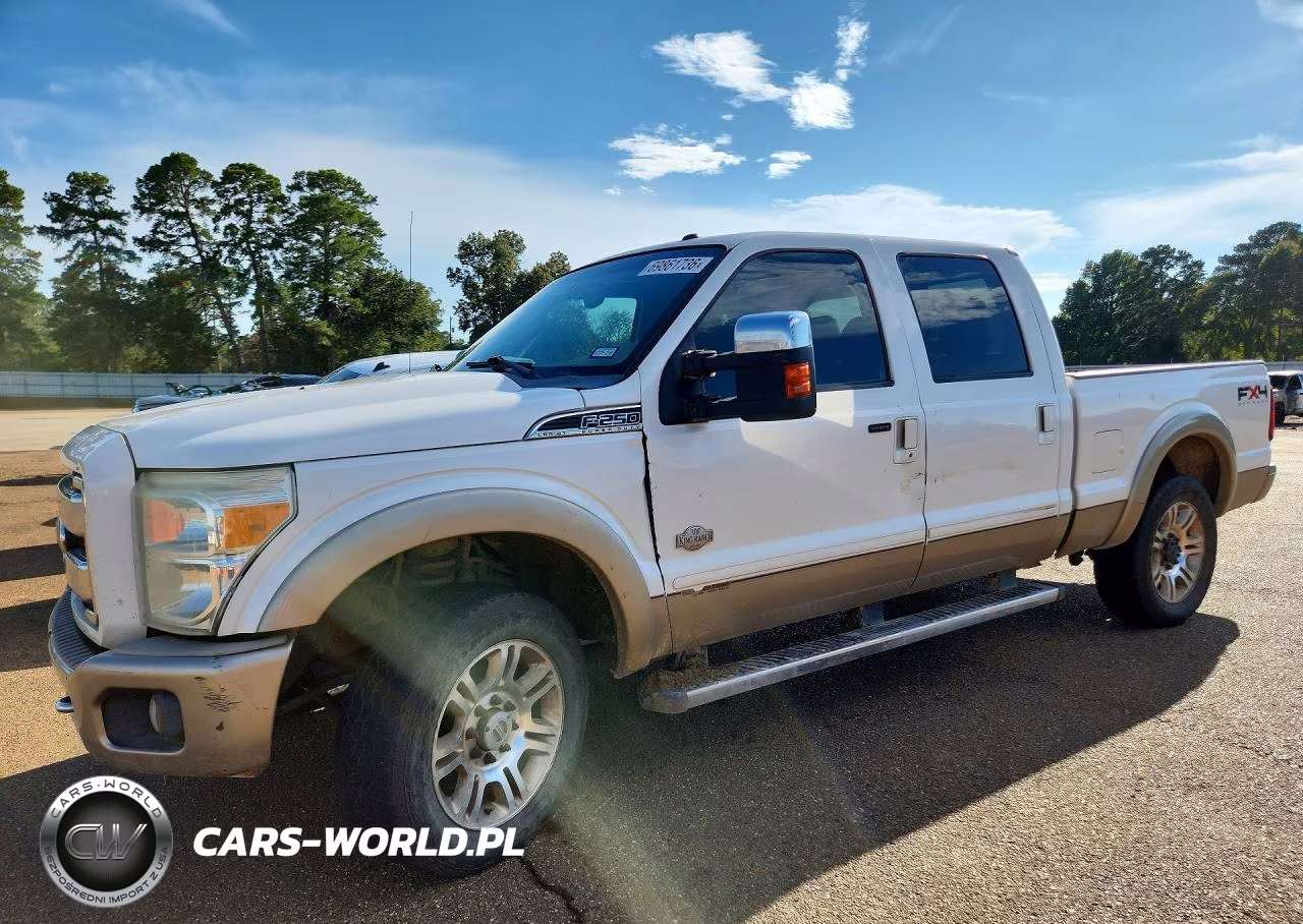 2011 Ford F250 Super Duty VIN:1FT7W2BT5BEB83028 - 1