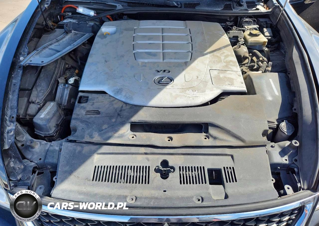2013 Lexus Ls 460 VIN:JTHCL5EF3D5015940 - 11