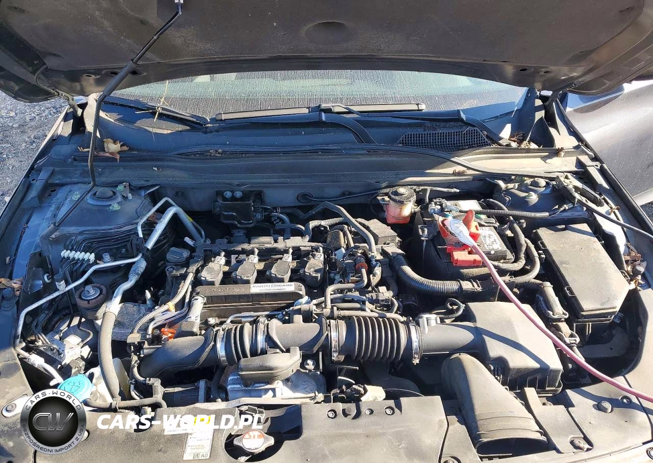 2019 Honda Accord Ex VIN:1HGCV1F45KA117926 - 11