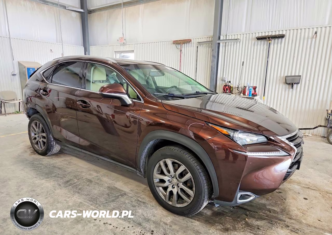 2016 Lexus Nx 200T Base VIN:JTJBARBZ5G2049504 - 4