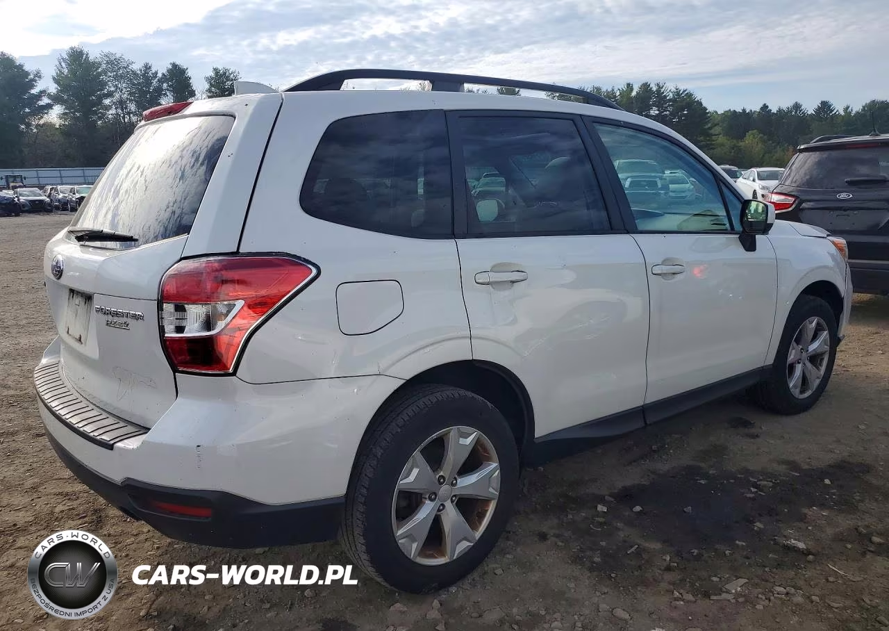 2016 Subaru Forester 2.5I Premium VIN:JF2SJAFC6GH493029 - 3