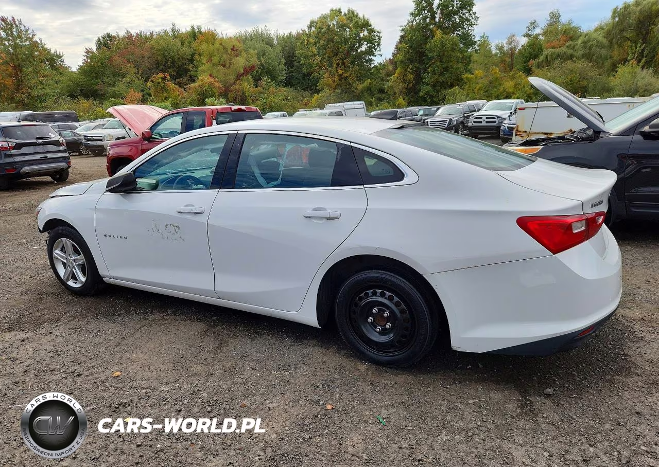 2019 Chevrolet Malibu Ls VIN:1G1ZB5ST2KF191547 - 2