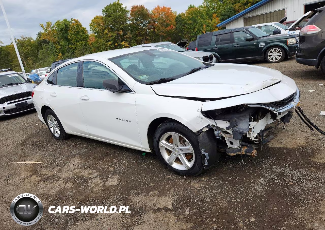 2019 Chevrolet Malibu Ls VIN:1G1ZB5ST2KF191547 - 4