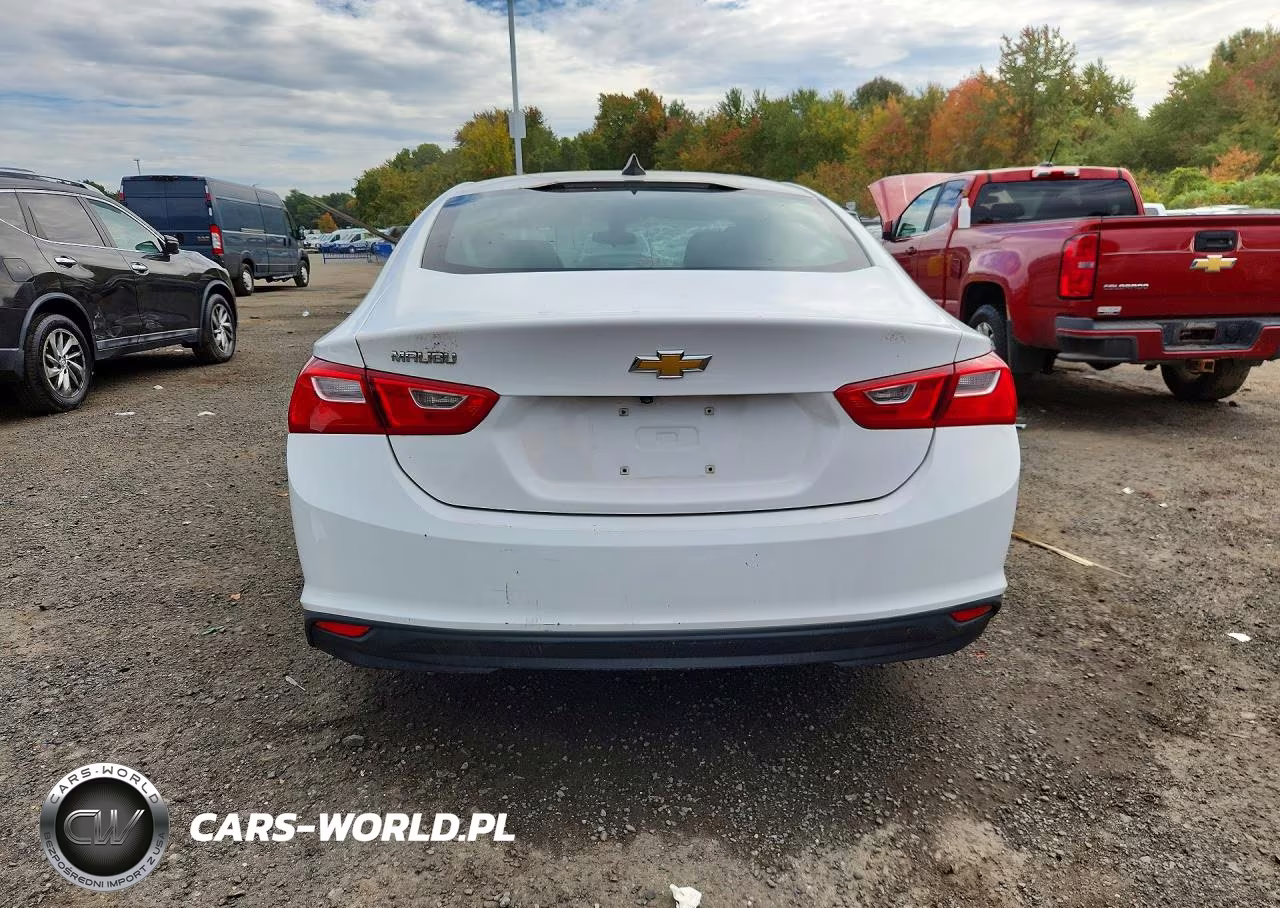 2019 Chevrolet Malibu Ls VIN:1G1ZB5ST2KF191547 - 6