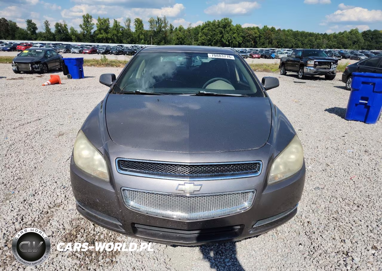 2010 Chevrolet Malibu 1Lt VIN:1G1ZC5EB7AF171471 - 5