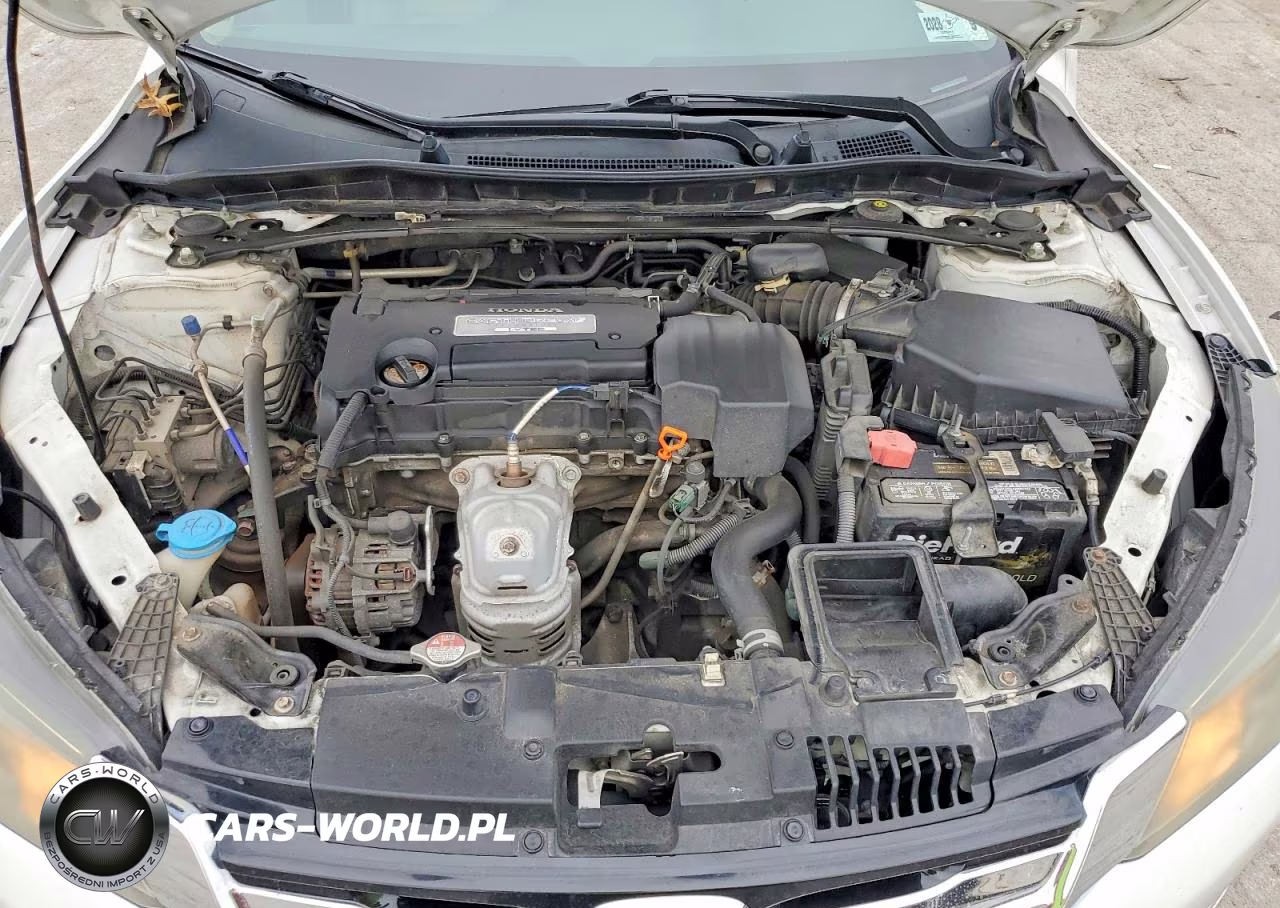 2013 Honda Accord Exl VIN:1HGCR2F82DA083654 - 11