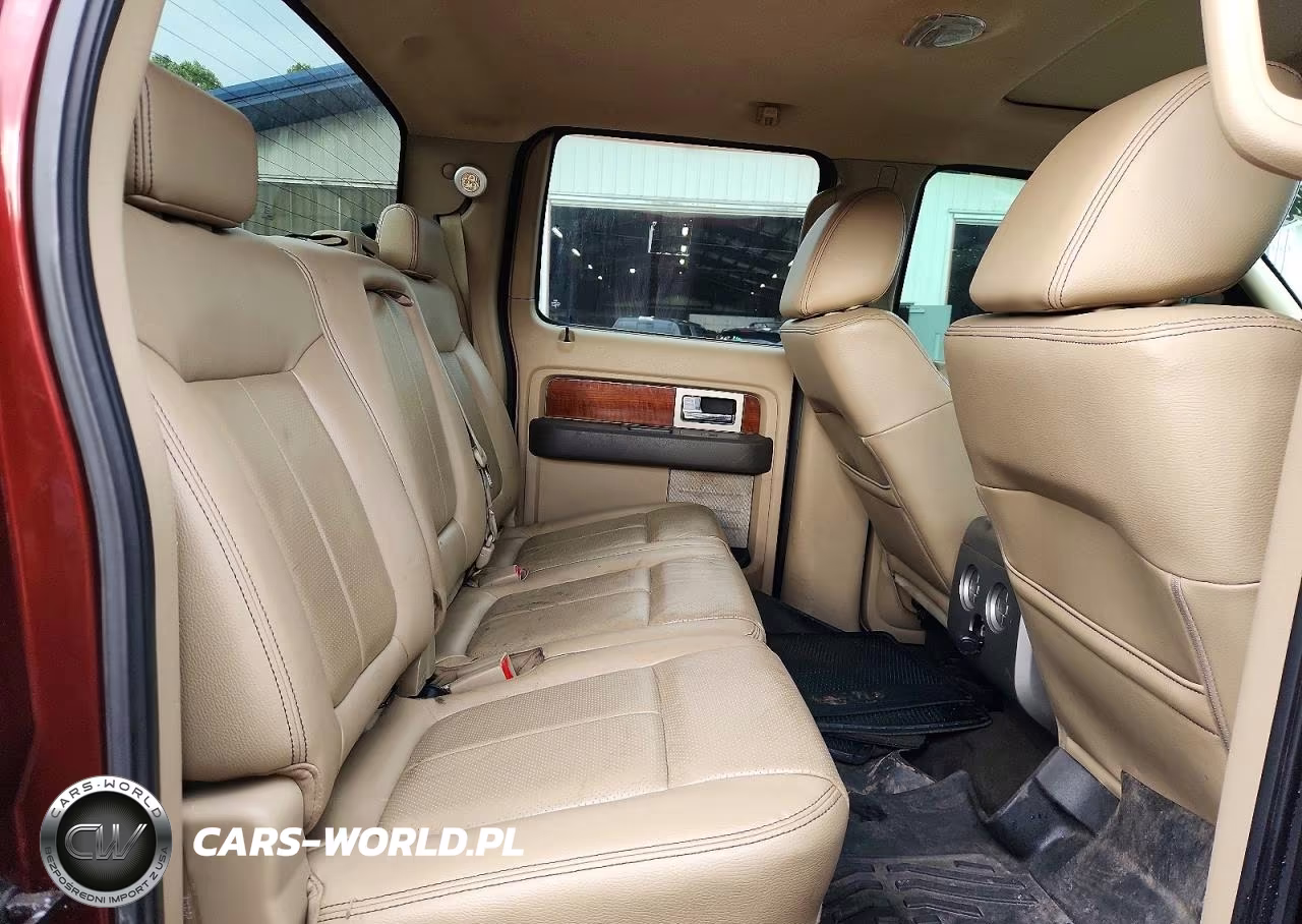 2009 Ford F150 Supercrew VIN:1FTPW14V49FB40166 - 10