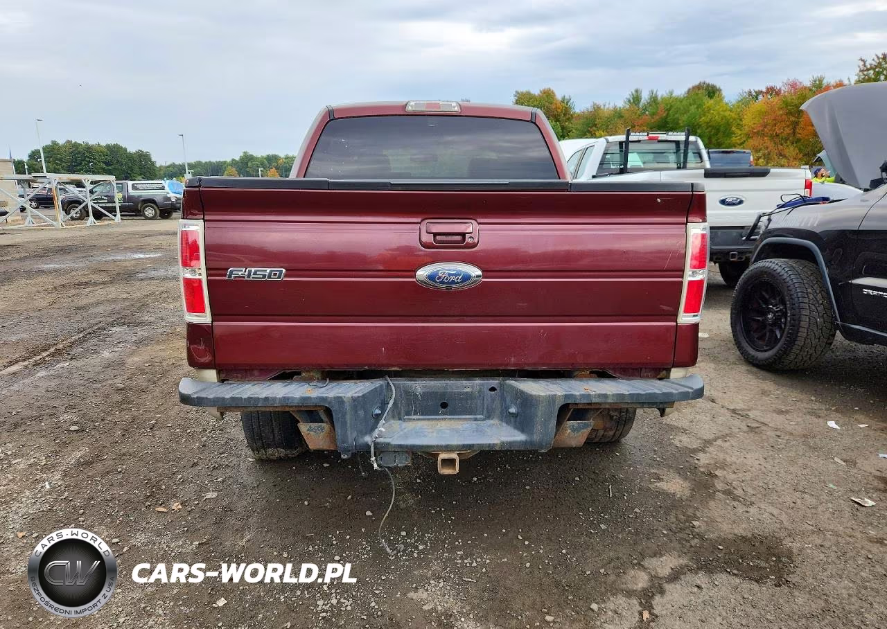 2009 Ford F150 Supercrew VIN:1FTPW14V49FB40166 - 6