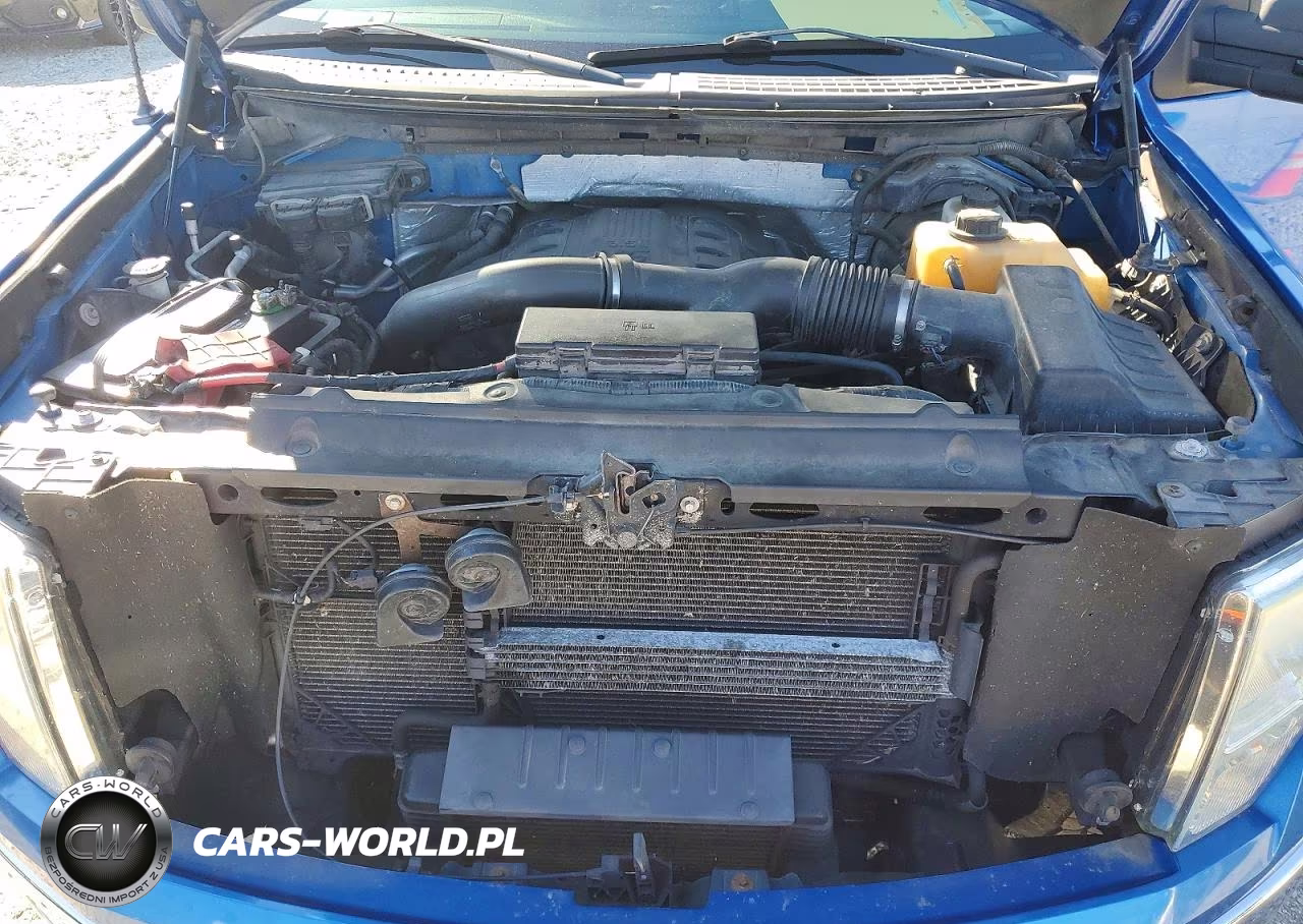 2011 Ford F150 Supercrew VIN:1FTFW1ETXBFC87428 - 11