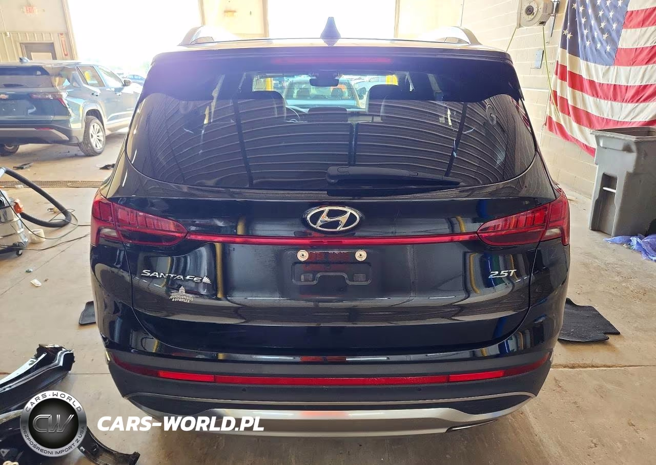 2022 Hyundai Santa Fe Limited VIN:5NMS44AL6NH416672 - 6