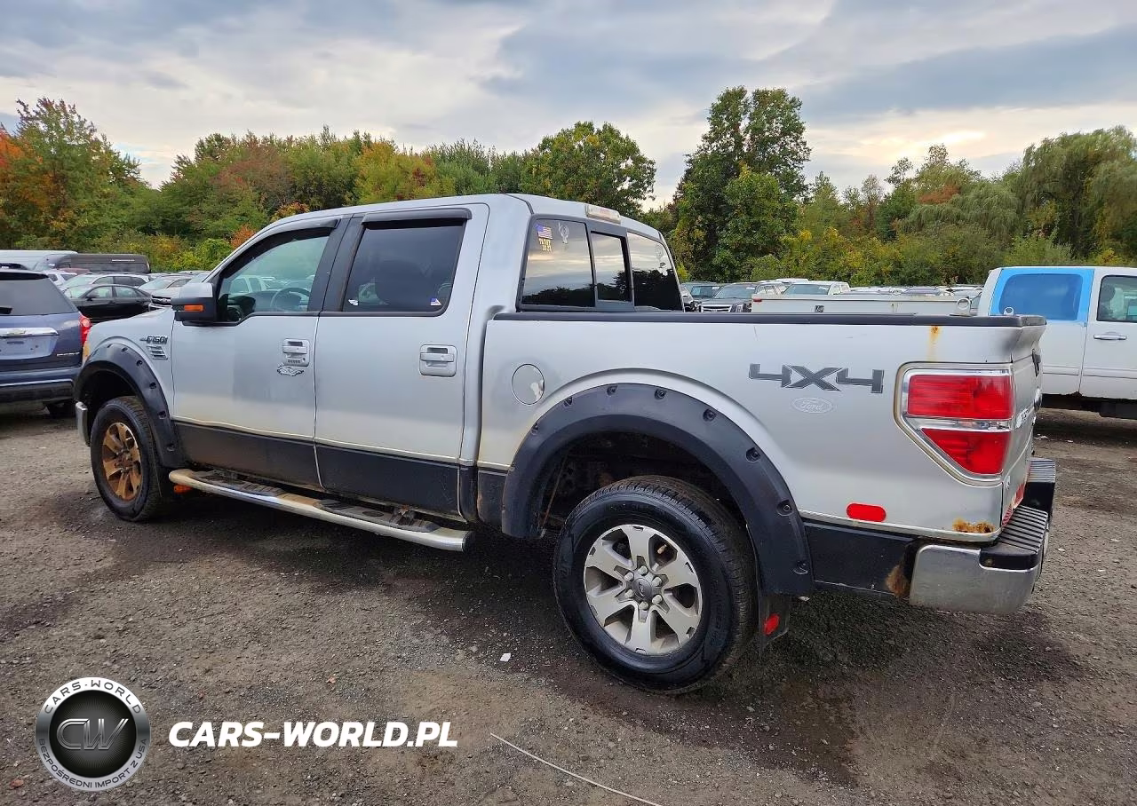 2010 Ford F150 Supercrew VIN:1FTFW1EV7AKE40869 - 2