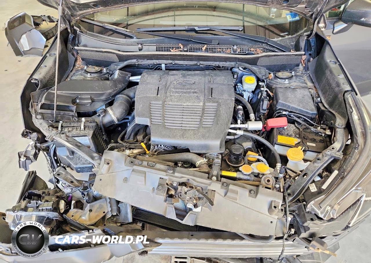 2024 Subaru Forester Wilderness VIN:JF2SKAHC3RH500421 - 12