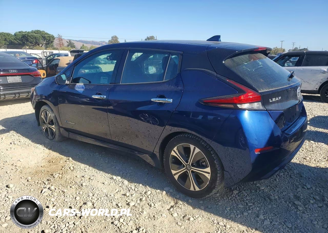 2019 Nissan Leaf Sl Plus VIN:1N4BZ1CP3KC313337 - 2