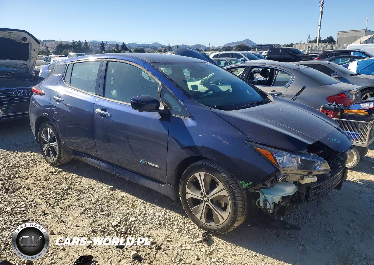 2019 Nissan Leaf Sl Plus VIN:1N4BZ1CP3KC313337 - 4