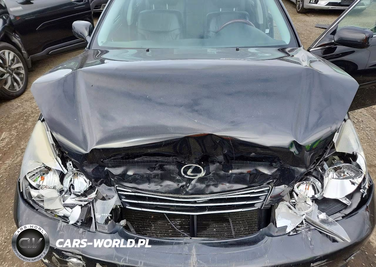 2004 Lexus Es 330 VIN:JTHBA30G445005150 - 11