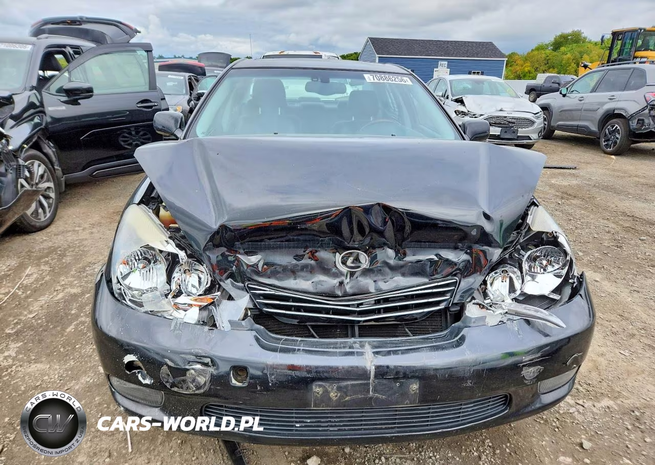 2004 Lexus Es 330 VIN:JTHBA30G445005150 - 5