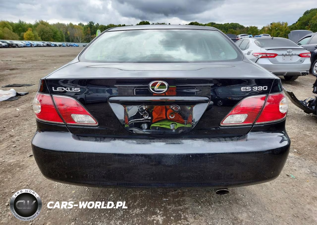 2004 Lexus Es 330 VIN:JTHBA30G445005150 - 6