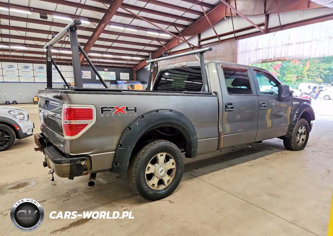 2010 Ford F150 Supercrew VIN:1FTFW1EV2AFB32131 - 3