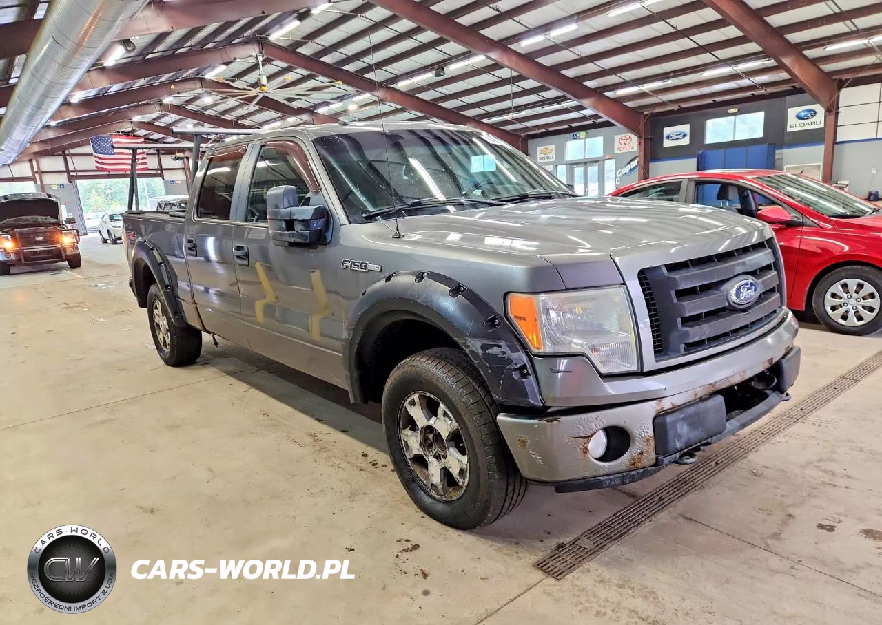 2010 Ford F150 Supercrew VIN:1FTFW1EV2AFB32131 - 4
