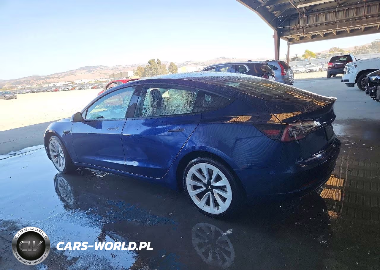 2022 Tesla Model 3 VIN:5YJ3E1EB7NF305017 - 2