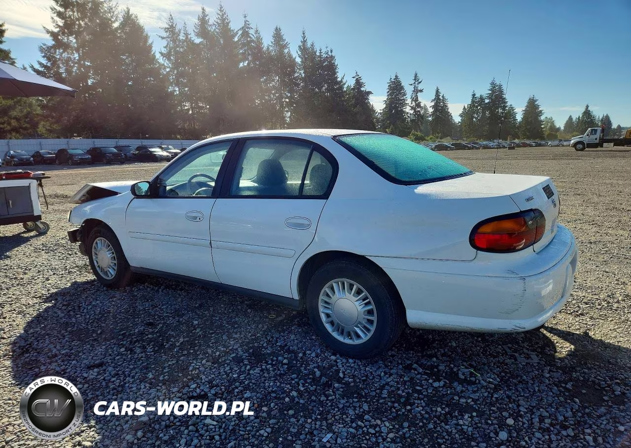 2005 Chevrolet Classic VIN:1G1ND52FX5M111060 - 2