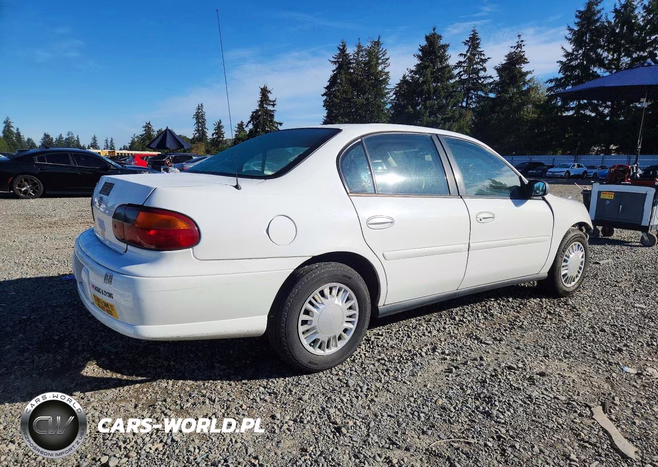 2005 Chevrolet Classic VIN:1G1ND52FX5M111060 - 3