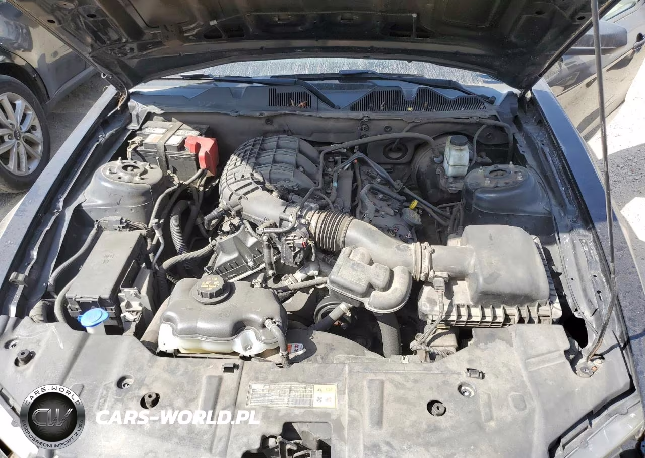 2013 Ford Mustang VIN:1ZVBP8AM7D5280106 - 11