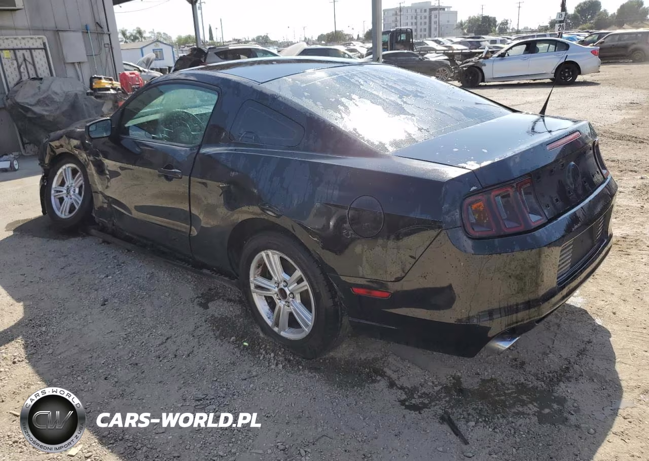 2013 Ford Mustang VIN:1ZVBP8AM7D5280106 - 2