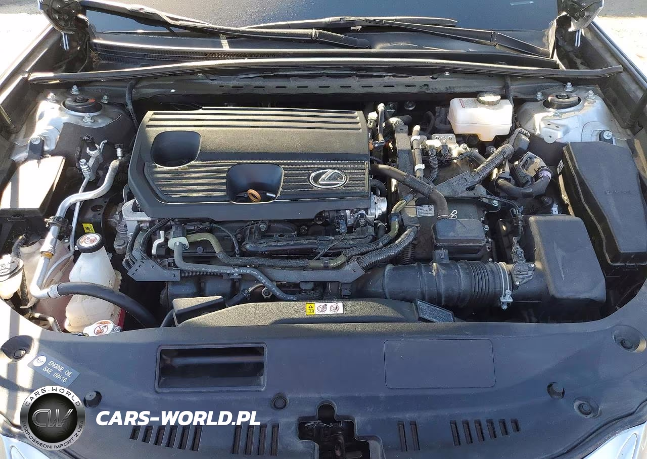 2024 Lexus Es 300H Base VIN:58ADA1C16RU051263 - 11