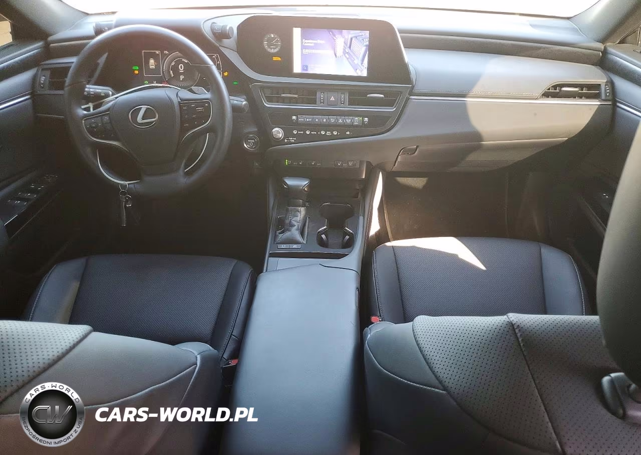 2024 Lexus Es 300H Base VIN:58ADA1C16RU051263 - 8