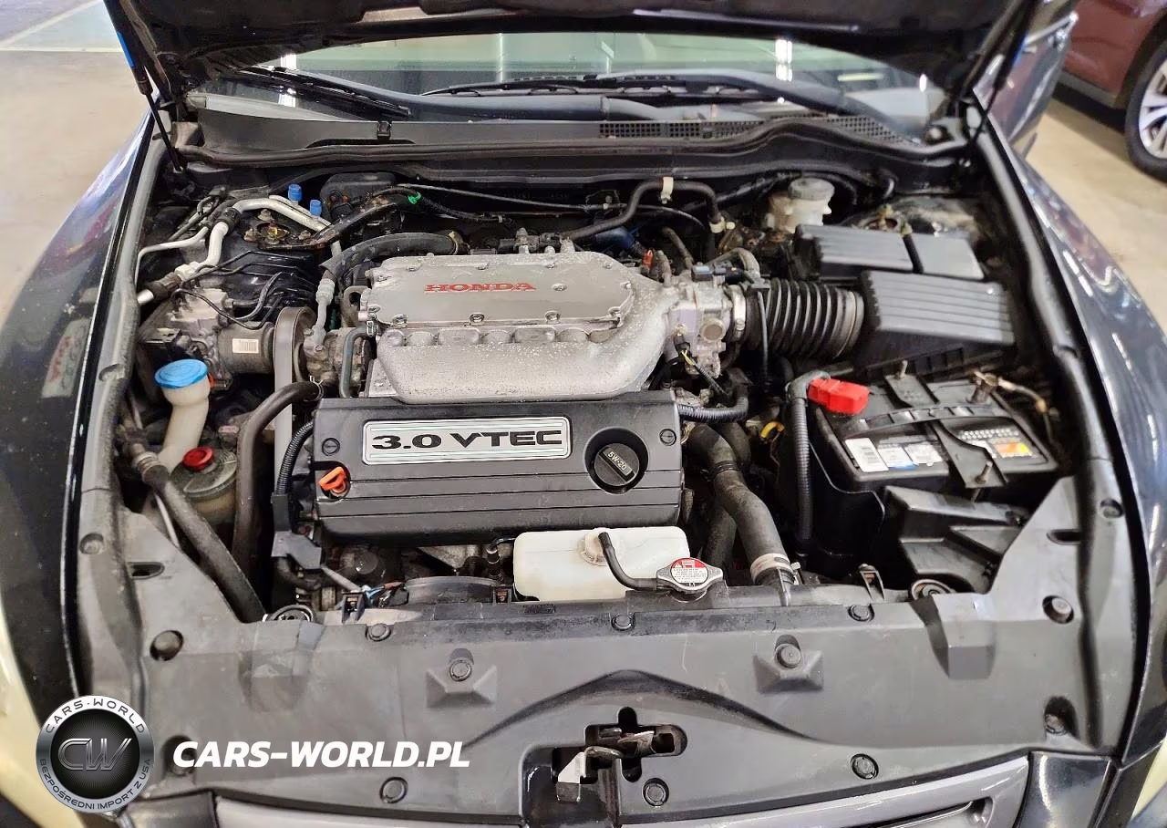 2004 Honda Accord Ex VIN:1HGCM66594A045236 - 11