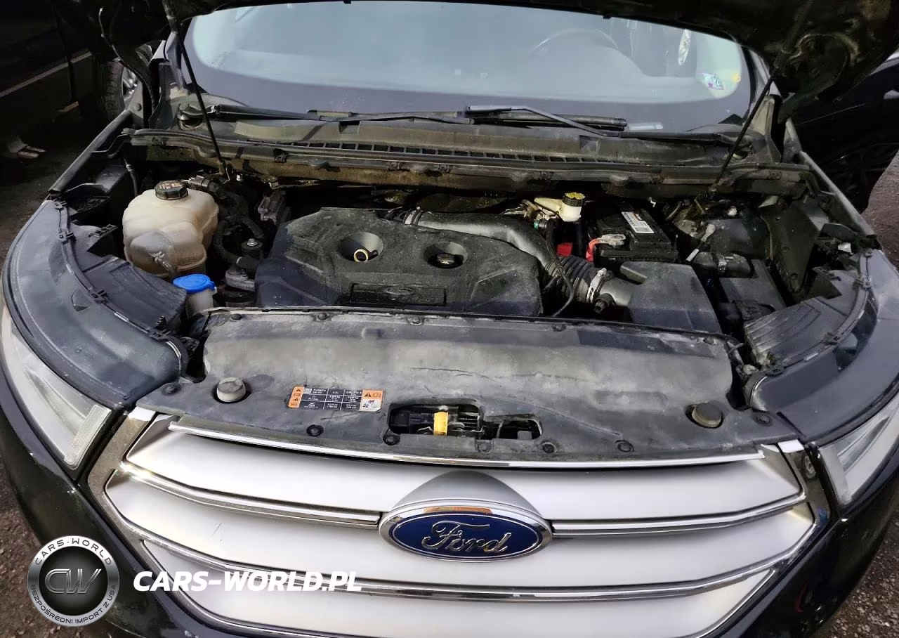 2018 Ford Edge Sel VIN:2FMPK4J91JBC24256 - 12