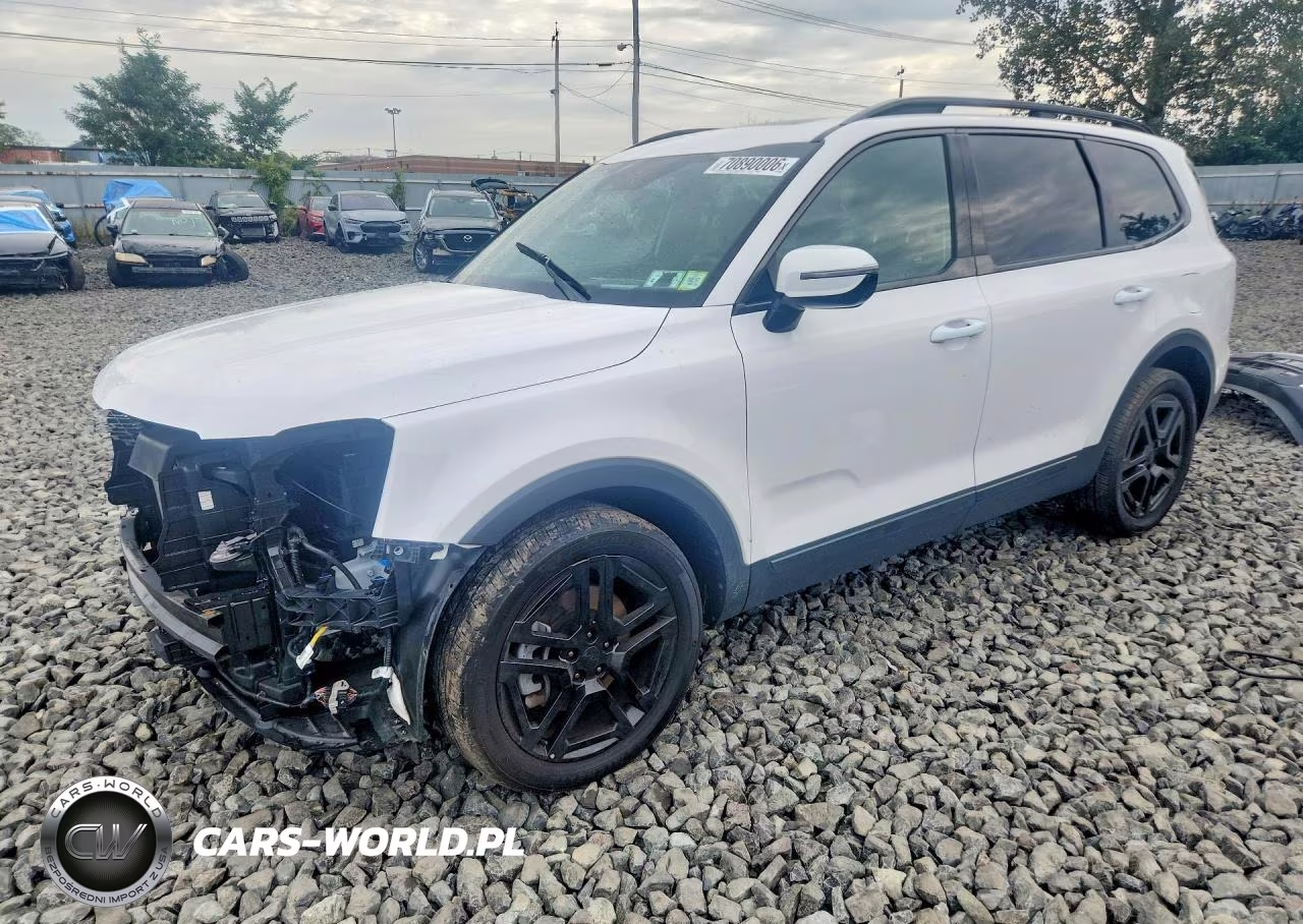2025 Kia Telluride Sx-Prestige X-Line
