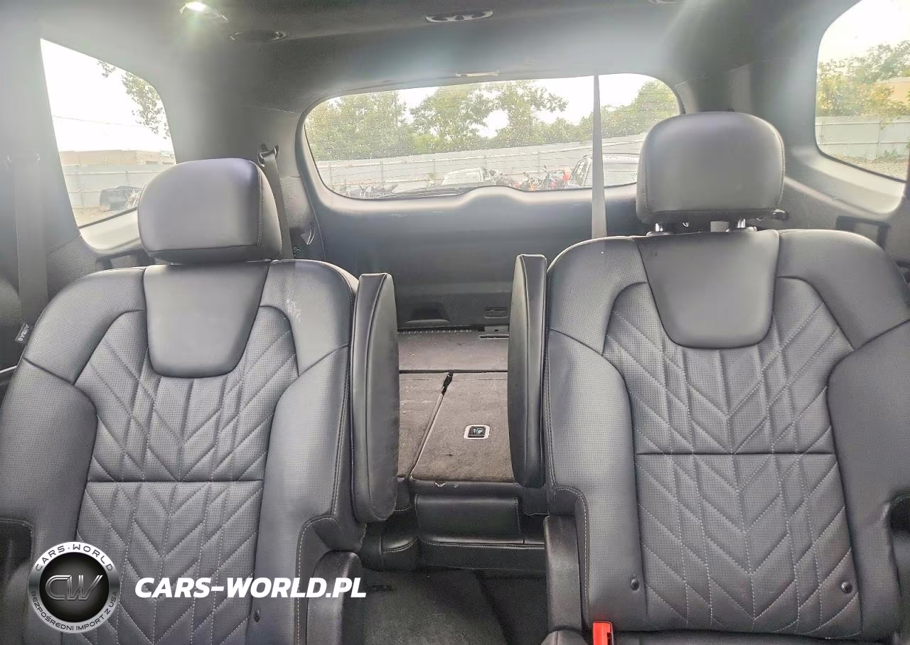 2025 Kia Telluride Sx-Prestige X-Line VIN:5XYP5DGC9SG624321 - 10