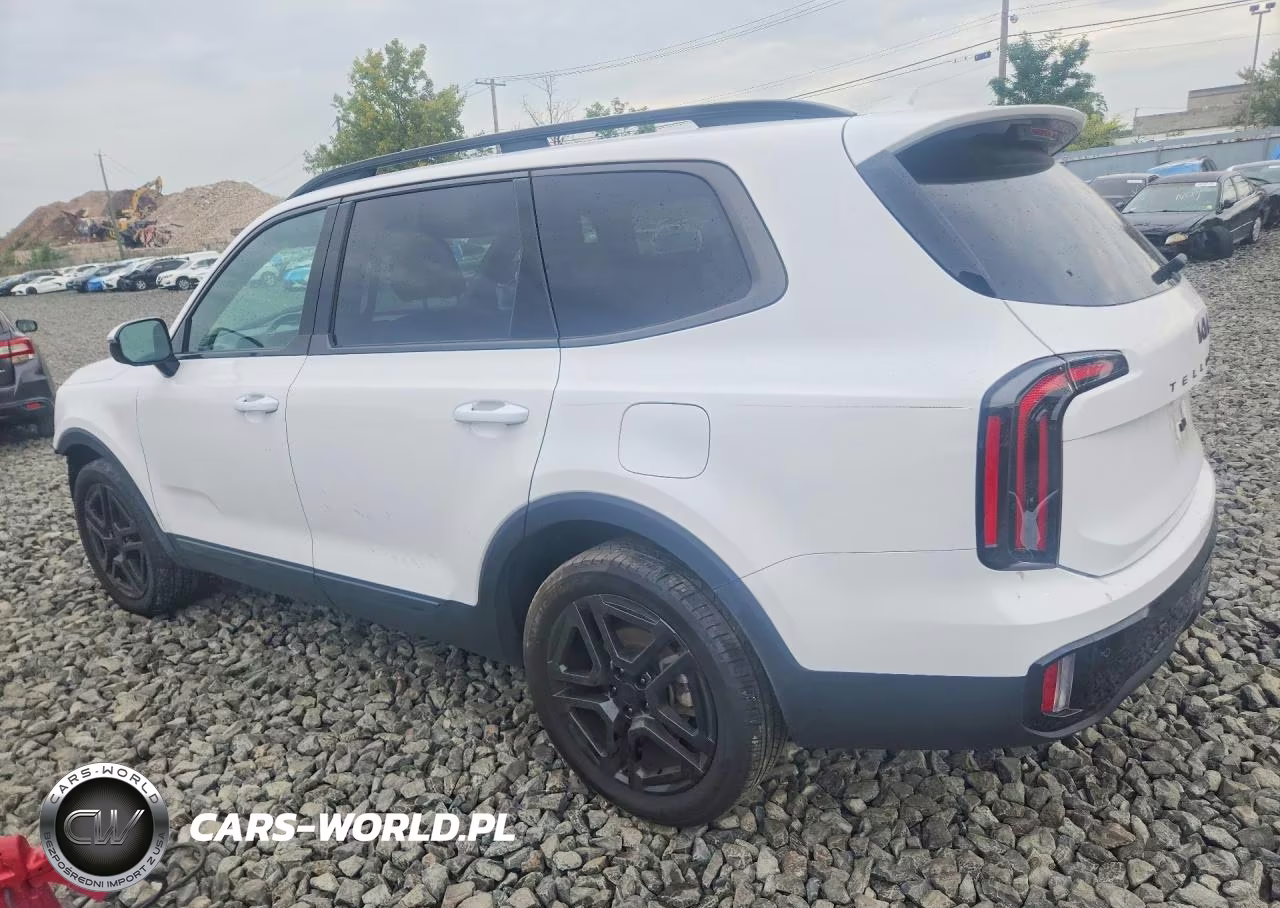 2025 Kia Telluride Sx-Prestige X-Line VIN:5XYP5DGC9SG624321 - 2