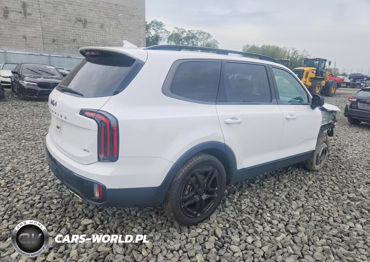 2025 Kia Telluride Sx-Prestige X-Line VIN:5XYP5DGC9SG624321 - 3
