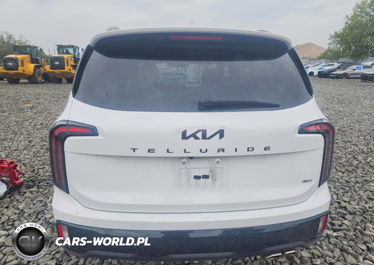 2025 Kia Telluride Sx-Prestige X-Line VIN:5XYP5DGC9SG624321 - 6