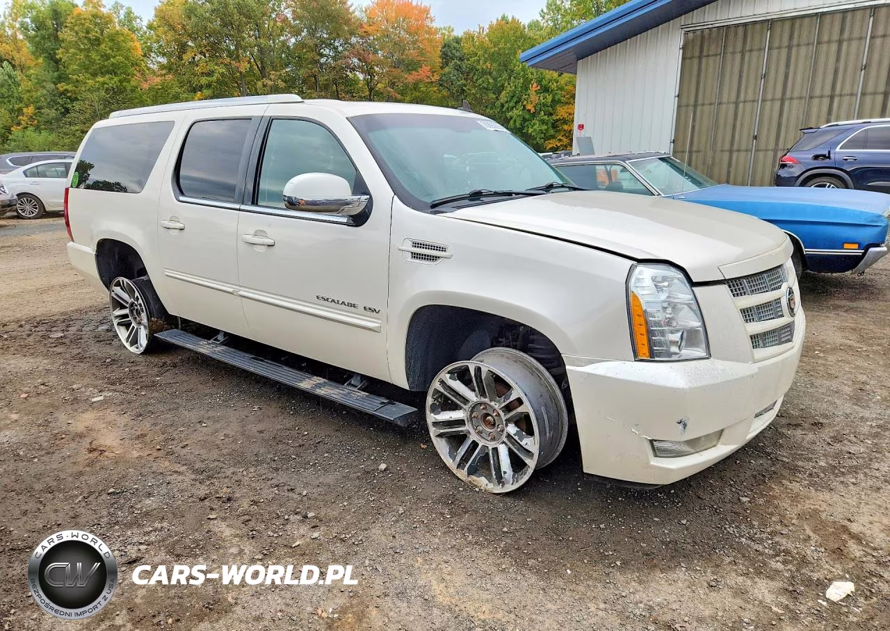 2013 Cadillac Escalade VIN:1GYS4JEF7DR166589 - 4
