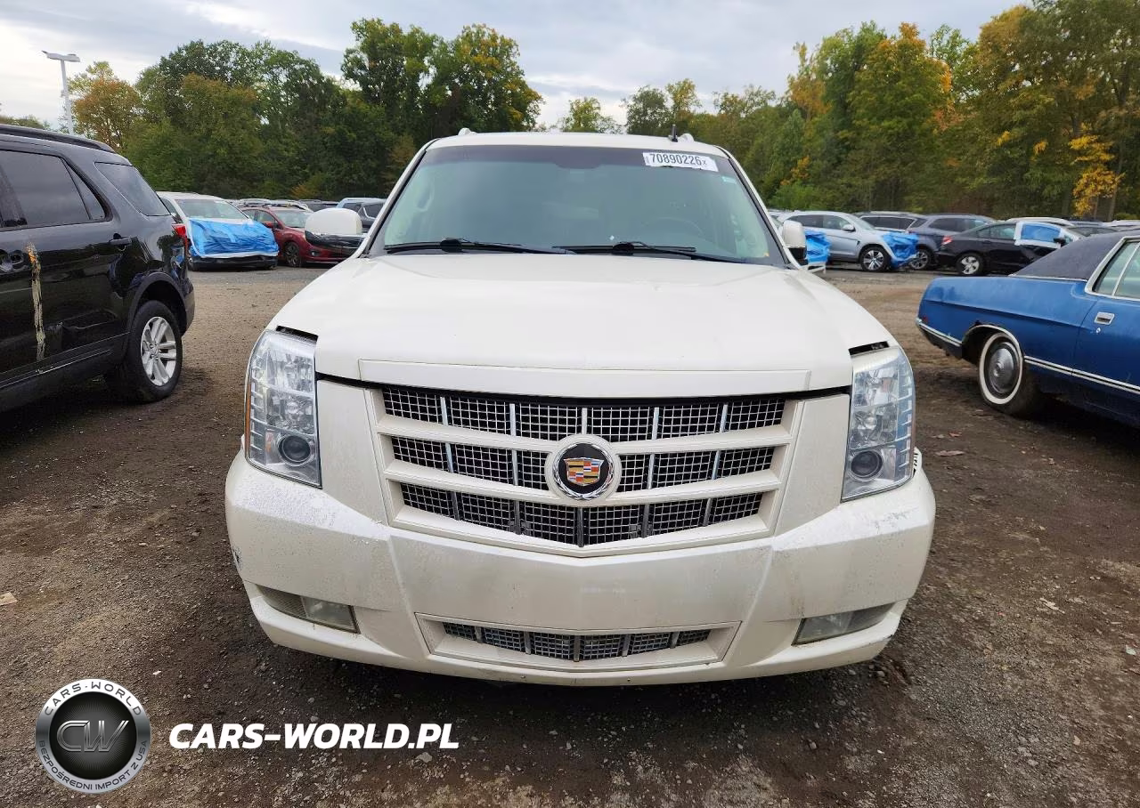 2013 Cadillac Escalade VIN:1GYS4JEF7DR166589 - 5