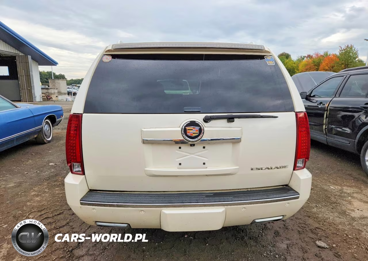 2013 Cadillac Escalade VIN:1GYS4JEF7DR166589 - 6