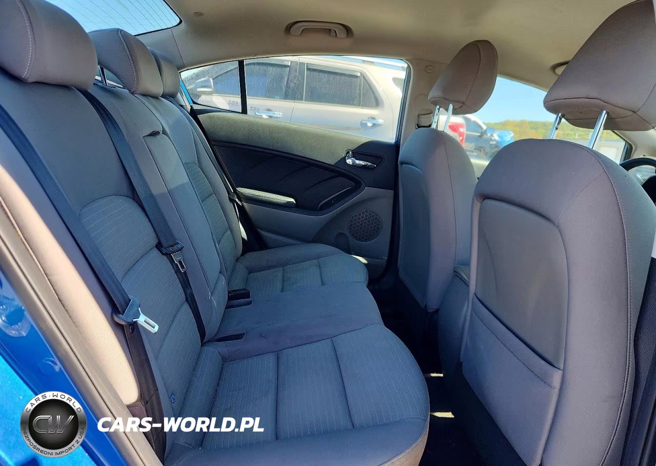 2014 Kia Forte Lx VIN:KNAFX4A6XE5091804 - 10