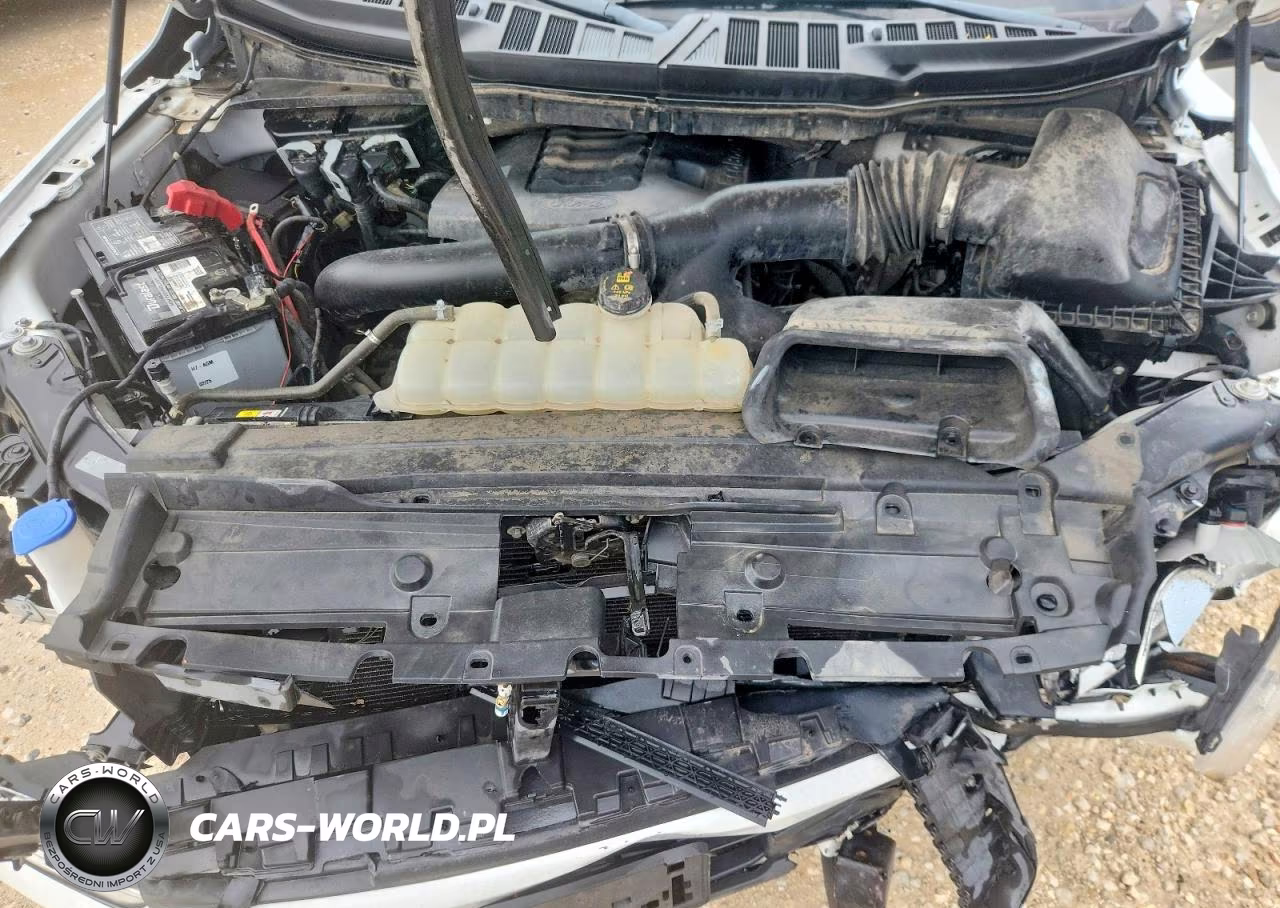 2021 Ford F150 Supercrew VIN:1FTFW1E80MKE40470 - 11