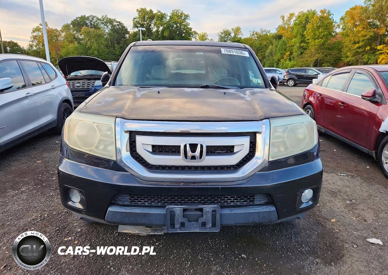 2010 Honda Pilot Ex VIN:5FNYF4H48AB014554 - 5