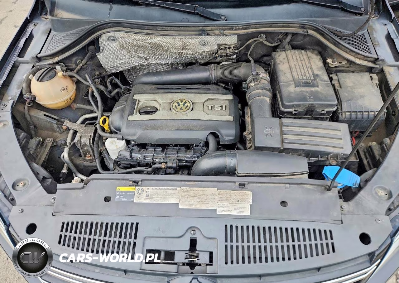 2014 Volkswagen Tiguan S VIN:WVGBV3AXXEW525008 - 12