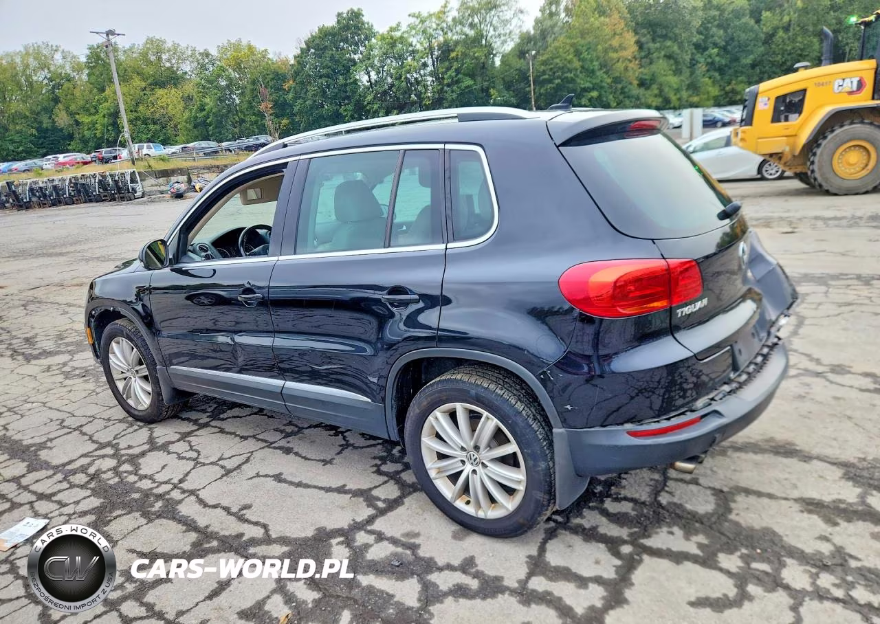2014 Volkswagen Tiguan S VIN:WVGBV3AXXEW525008 - 2