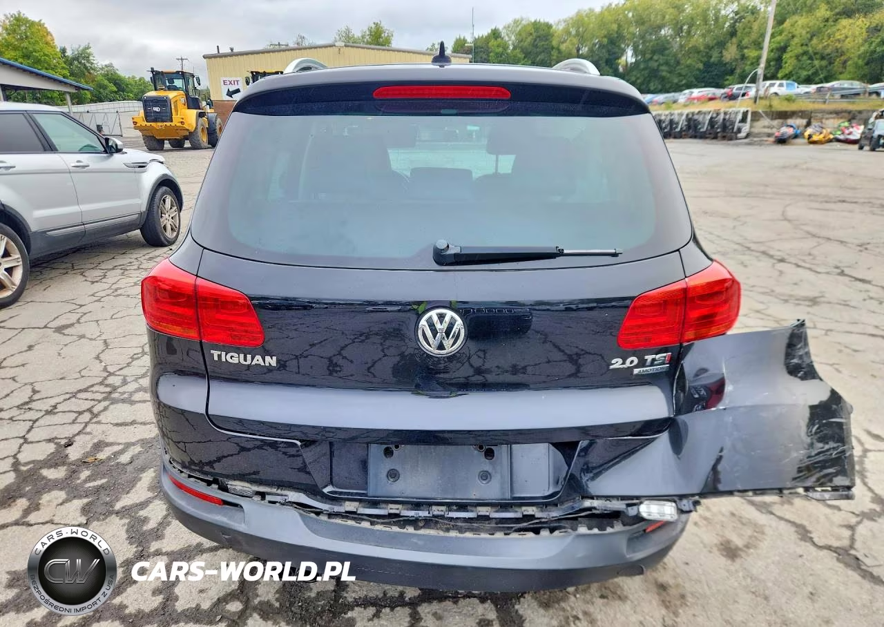 2014 Volkswagen Tiguan S VIN:WVGBV3AXXEW525008 - 6