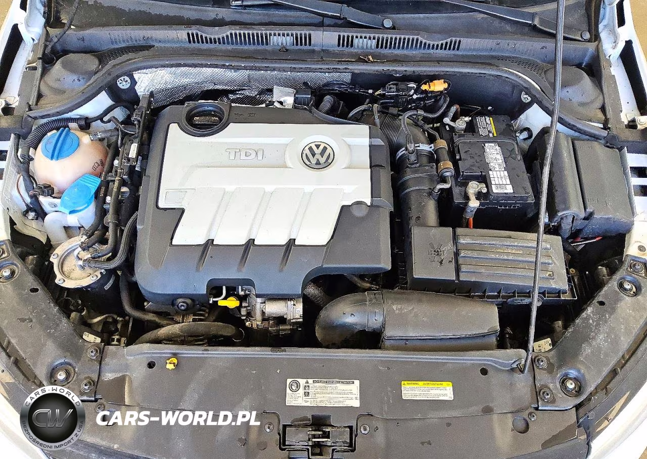 2014 Volkswagen Jetta Tdi VIN:3VWLL7AJ5EM332294 - 11