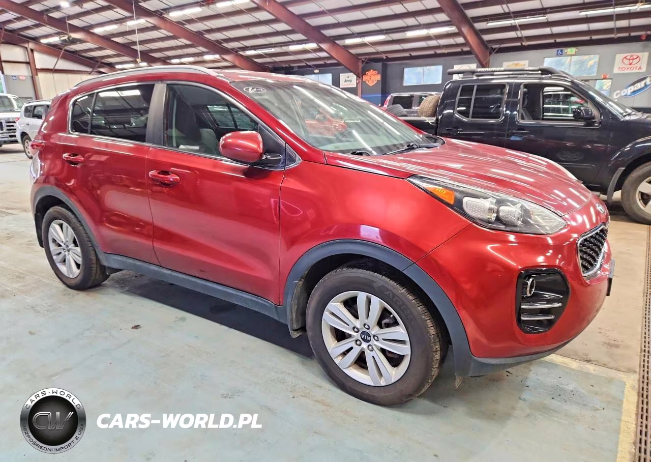 2017 Kia Sportage Lx VIN:KNDPMCAC9H7271798 - 4