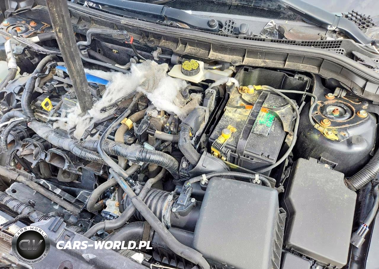 2012 Mazda 3 I VIN:JM1BL1L89C1598482 - 11