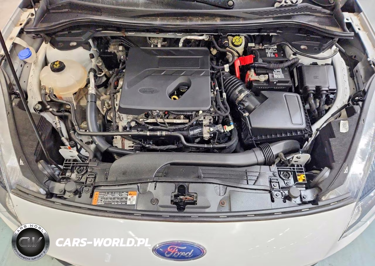 2020 Ford Escape Se VIN:1FMCU9G64LUA64812 - 11